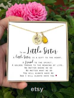 Custom Birthday Gift for Little Sister Jewelry Gift for Sister Little Sister Necklace Gift Sister Gifts Little Sister Personalized gift LSis