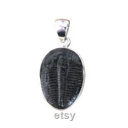 Fossil Trilobite Sterling Silver Pendant- Fabulous Vintage designer Jewelry-HANDMADE Silver pendant-Fossil trilobite Pendant- Unisex Pendant