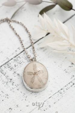 Fossilized Sand Dollar Necklace, Real Sand Dollar Jewelry, Sea Biscuit Necklace, Sterling Silver Sand Dollar Necklace, Ocean Lover Gift,