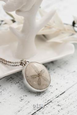 Fossilized Sand Dollar Necklace, Real Sand Dollar Jewelry, Sea Biscuit Necklace, Sterling Silver Sand Dollar Necklace, Ocean Lover Gift,