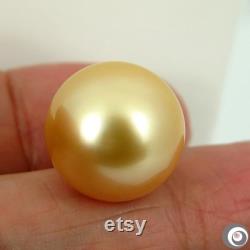 Giant 17.77 x 18.45mm Organic Natural Golden Cream Australian South Sea Cultured Pearl Pendant 925 Sterling Silver SP1177