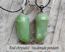 Monarch Chrysalis pendant, 24k gold and artisan glass. A gift with meaning Butterfly Art Pendant Conservationist Environmental Garden art
