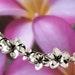 Sterling Silver Hawaiian Plumeria Necklace, Plumeria Necklace, Hawaiian Necklace, Plumeria Jewelry, Flower Necklace.