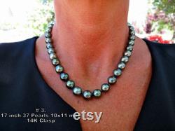 Tahitian Black Pearl Necklace