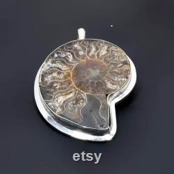 Very Big Size Ammonite Gemstone Jewelry Pendant Giant Ammonite Gemstone Handmade Pendant Jewelry For Gifts Brown Ammonite For Christmas Gift